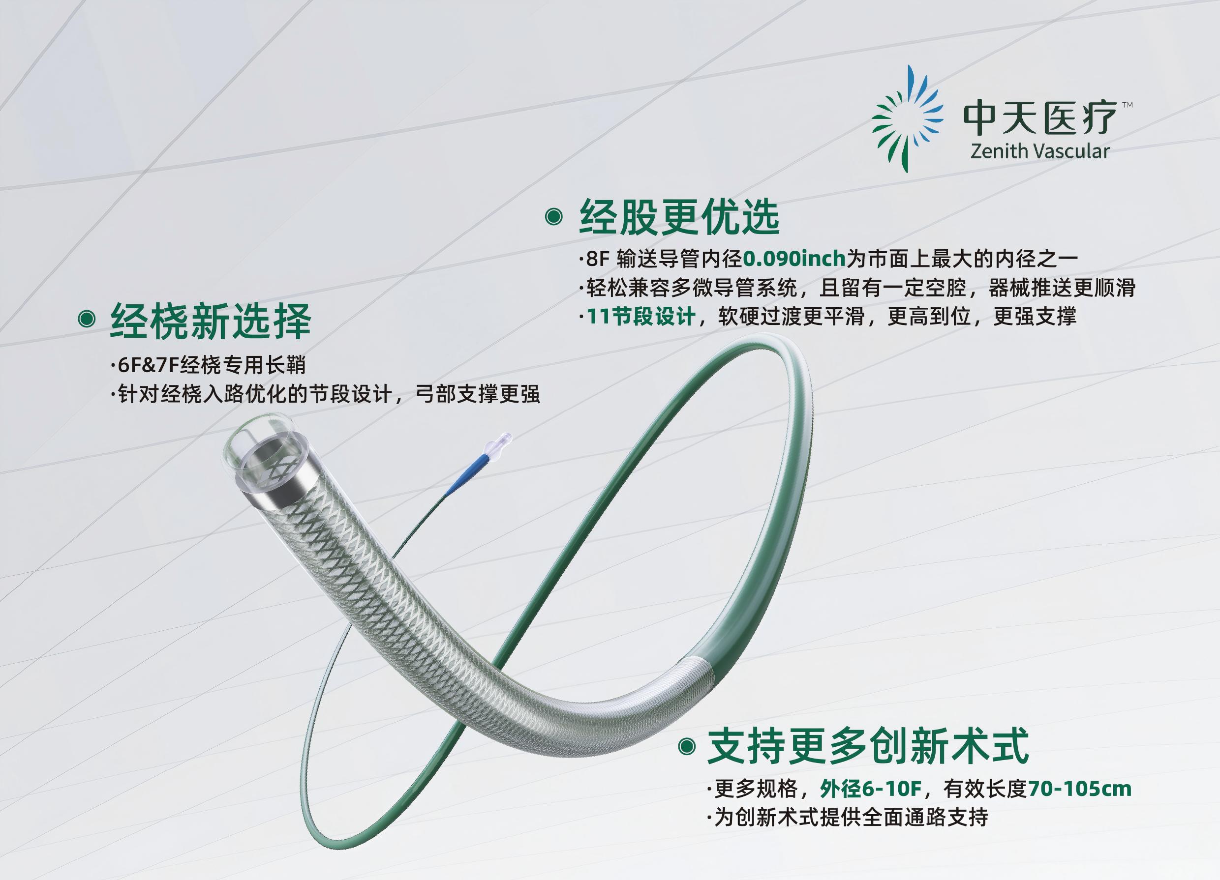 天巡®输送导管