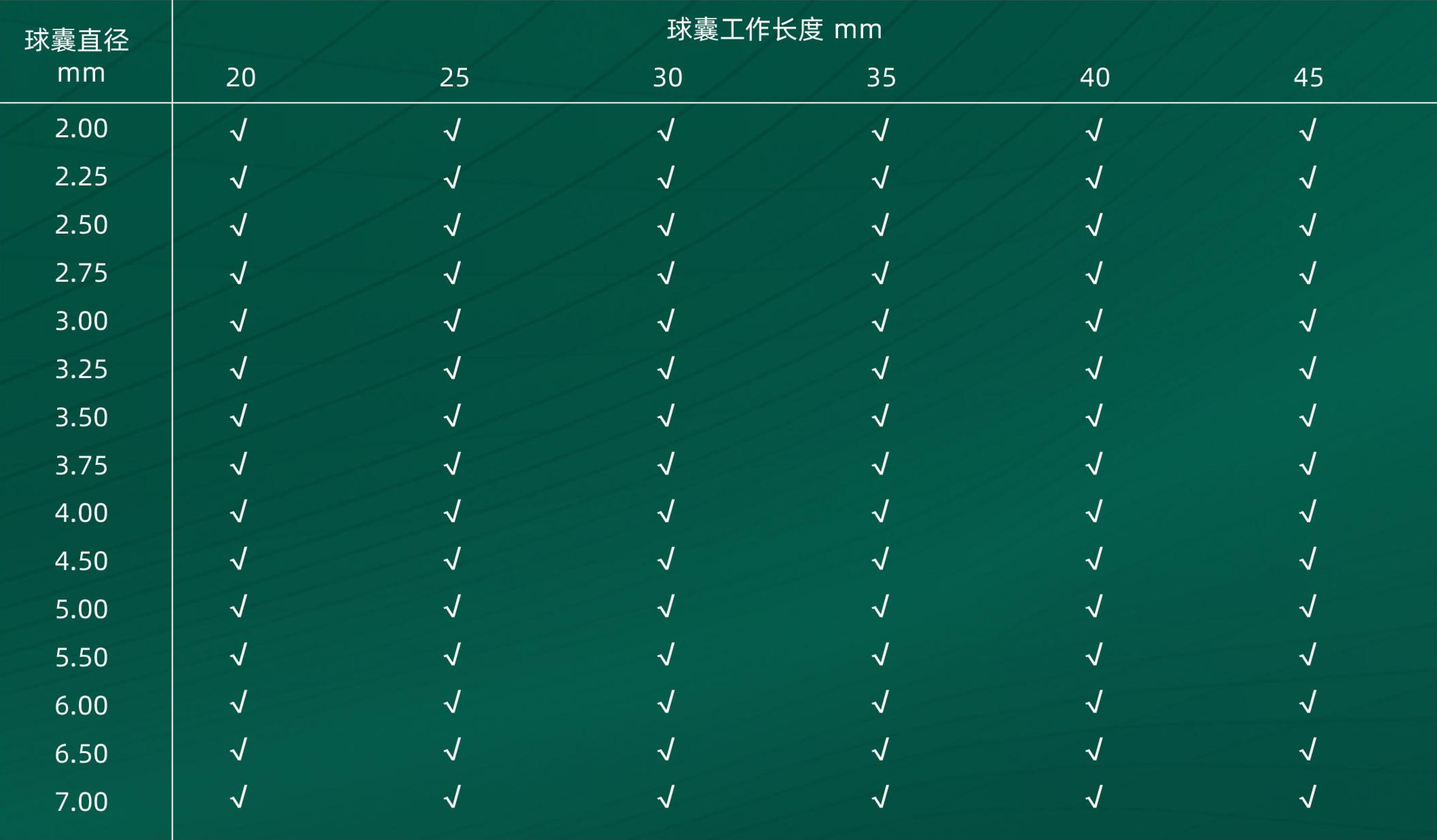 中天天宓®颈动脉球囊扩张导管